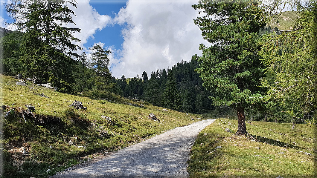 foto Dal Passo Val Cion a Rifugio Conseria